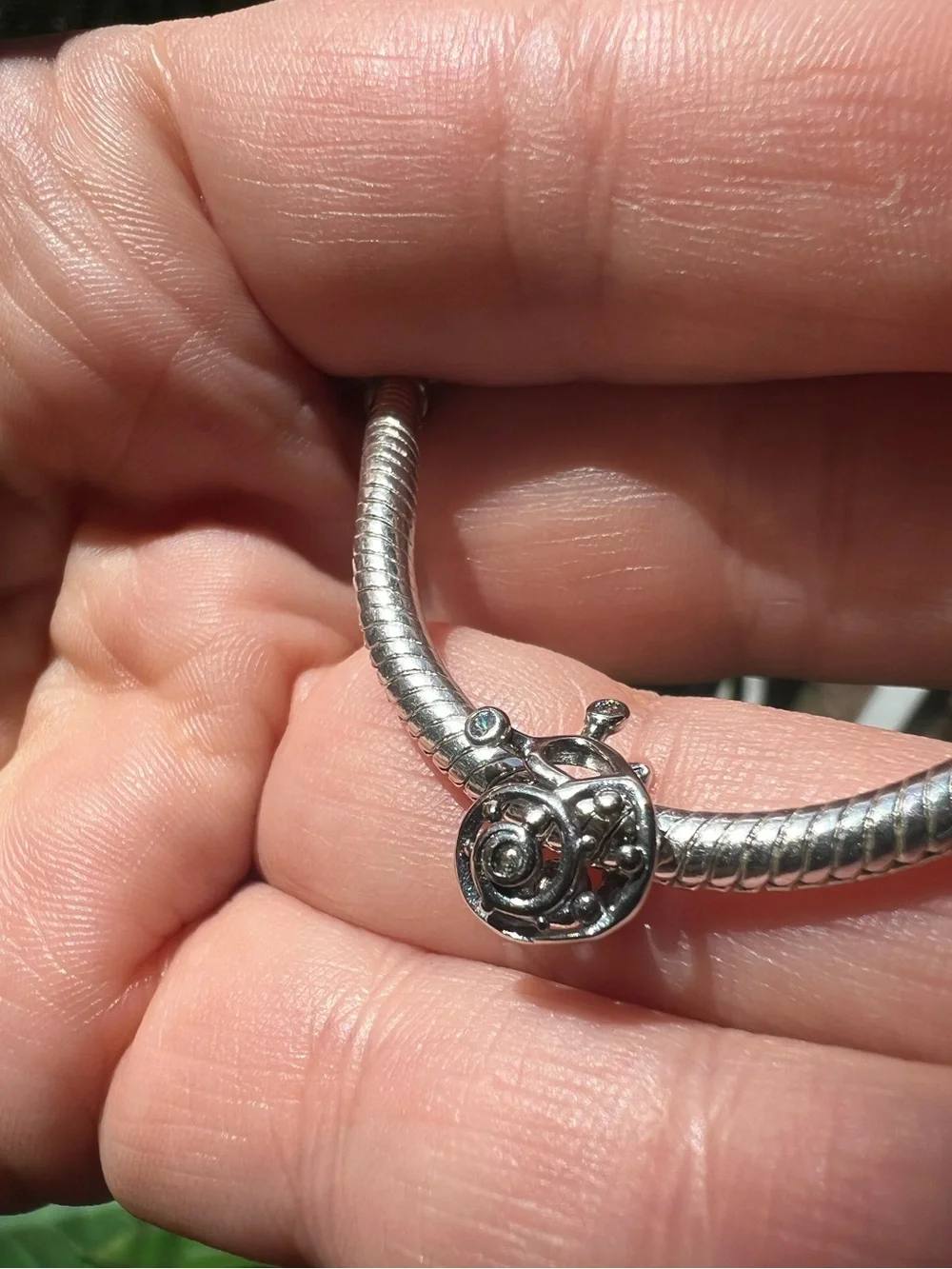 Snail 🐌 Charm
